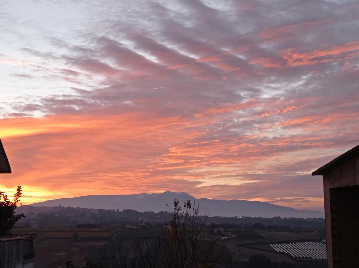 Appartamento tra mare e città Vasto Exterior foto